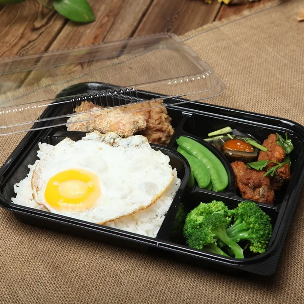 Disposable Bento Box & Lid